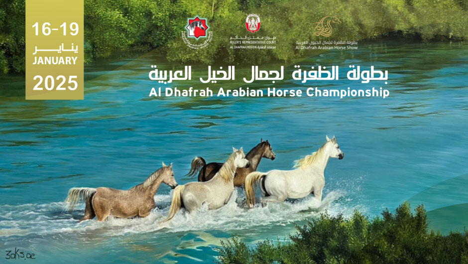 بطولة الظفرة لجمال الخيل العربية