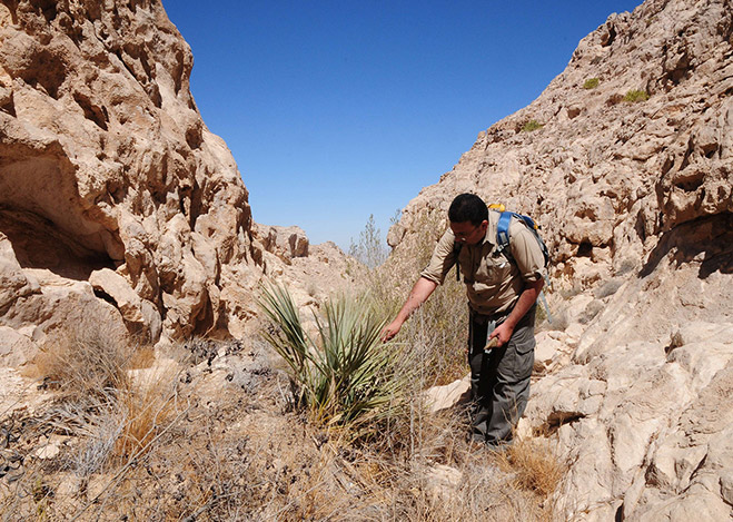 Hamdan bin Zayed issues Resolution on policy of protected areas in Abu Dhabi