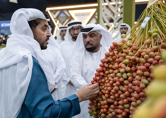 Hamdan bin Zayed visits 22nd Liwa Dates Festival